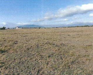 NAIVASHA 1
